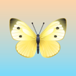 milagro_s